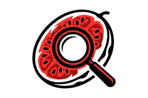 乐鱼体育平台平台 - 吃瓜社Logo